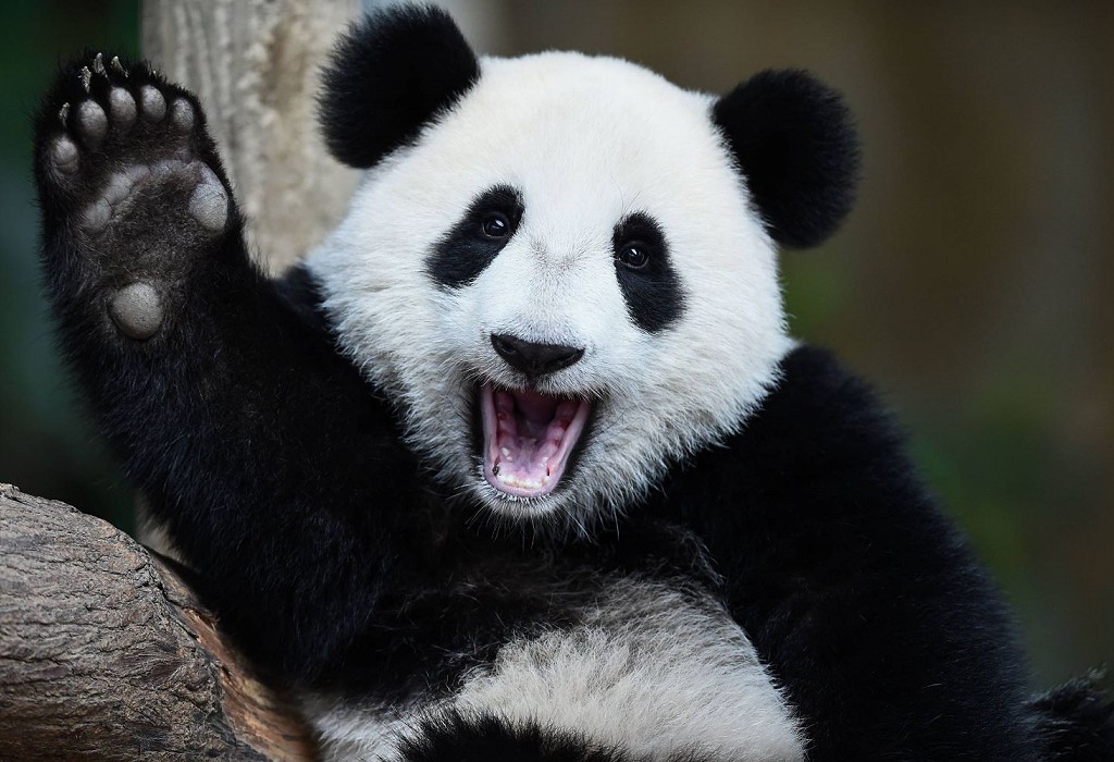 teach english in china